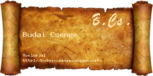 Budai Csenge névjegykártya